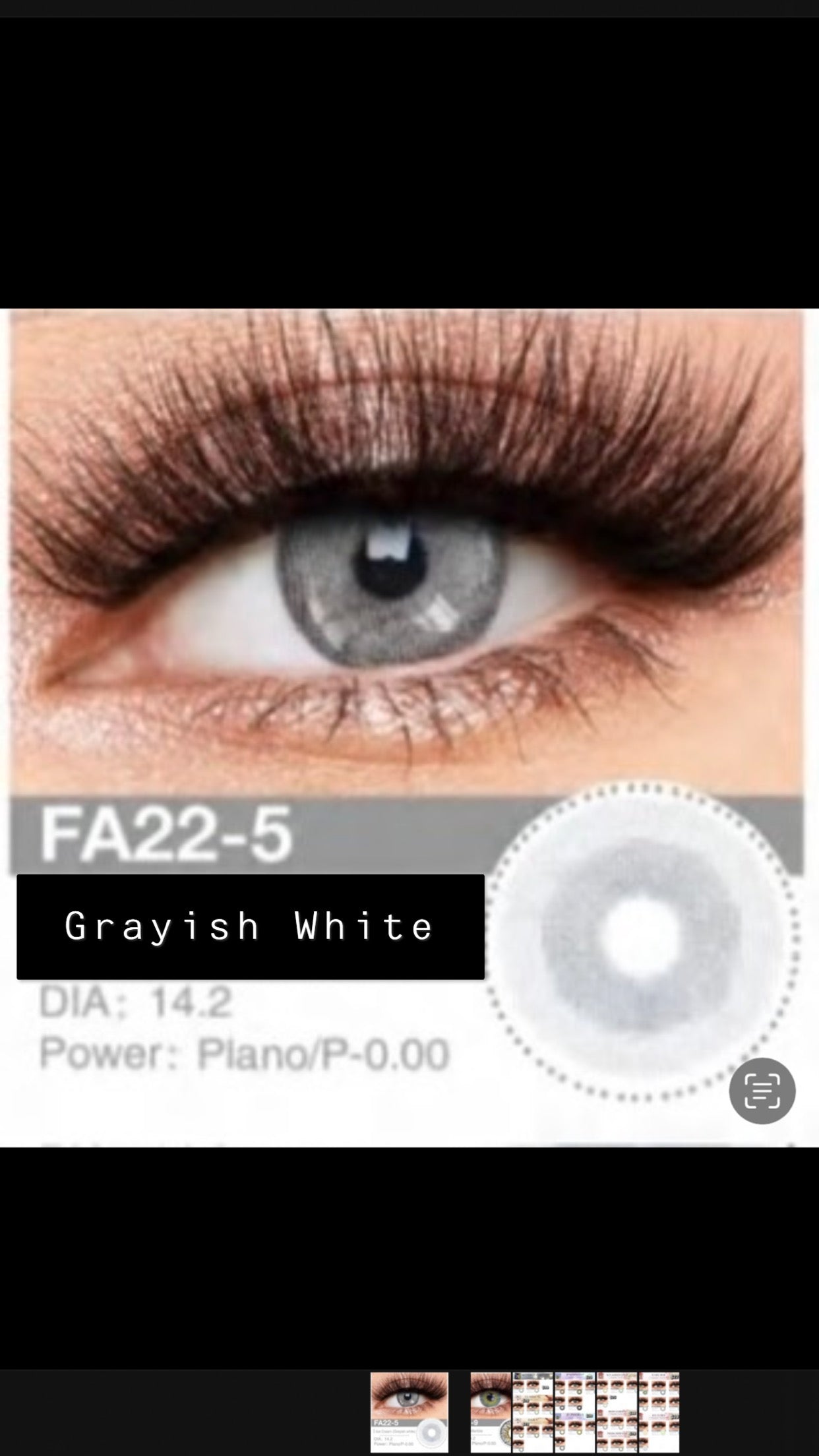 GRAYISH WHITE