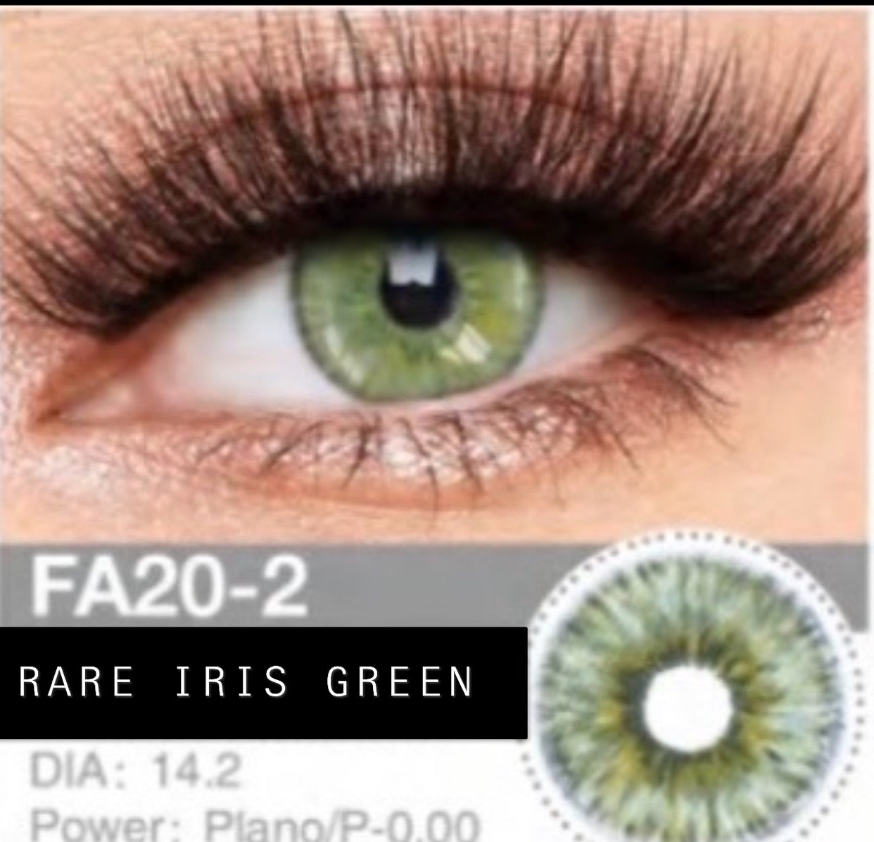 RARE IRIS GREEN